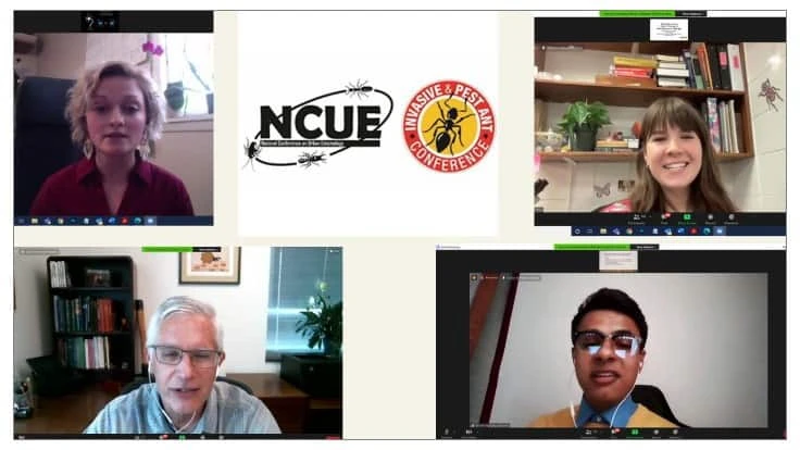 Clockwise from top left, Cari Lewis, Allison Johnson, Richard Murphy and Ed Vargo.