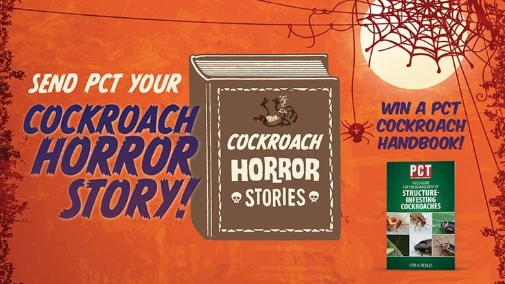 cockroach horror stories