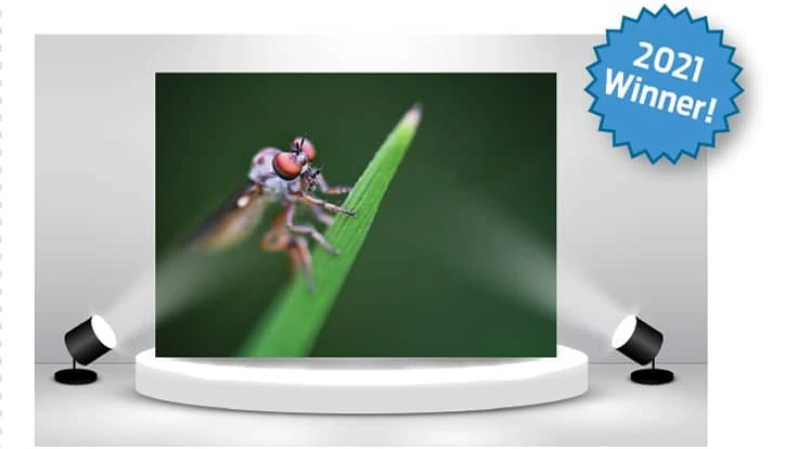 2021-photo-contest-winner