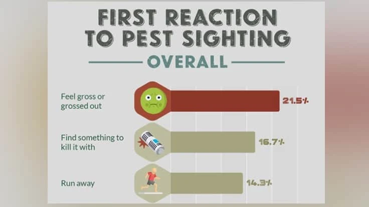 react-pest-graphic