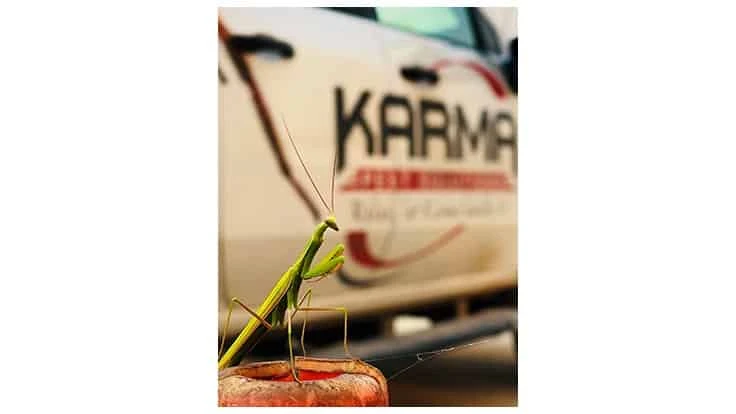 BJ Holloway won PCT's annual photo contest with this photo of a praying mantis.