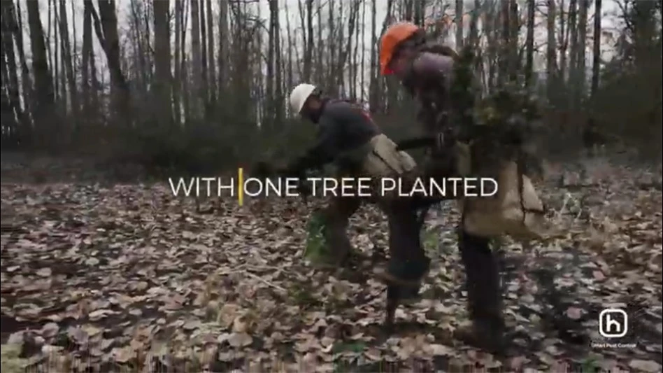 Hawx one tree planted