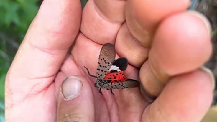 North Carolina Department of Agriculture and Consumer Service