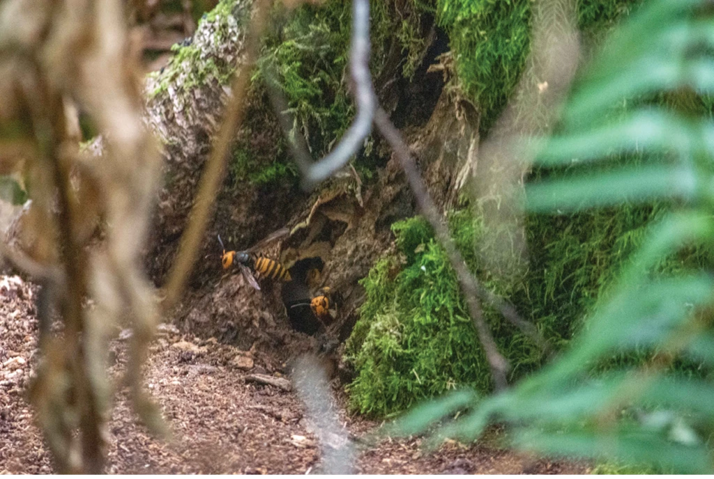 Hector Castro | Washington State Department of Agriculture