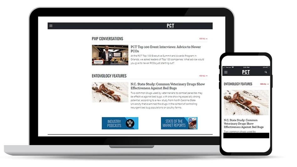 istock | Vlad Rachuk