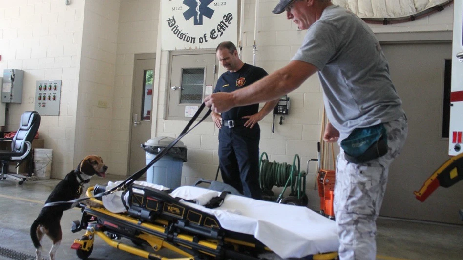 M2 Bed Bug dog Turbo being handled by Mike Posey (right) in training at the Circleville Fire Department.