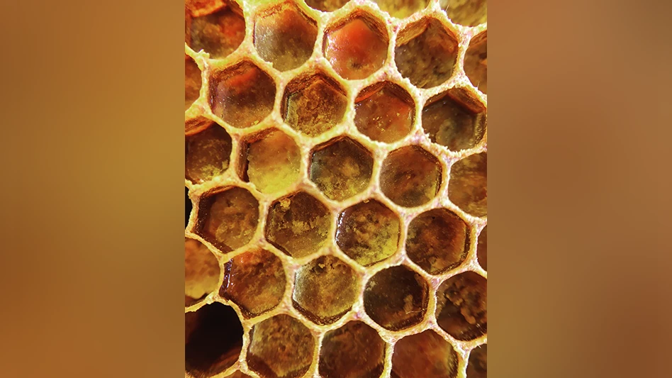 Beeswax can be used to create many mediums such as encaustic paint, lithographic inks and pencils, and casting materials.
