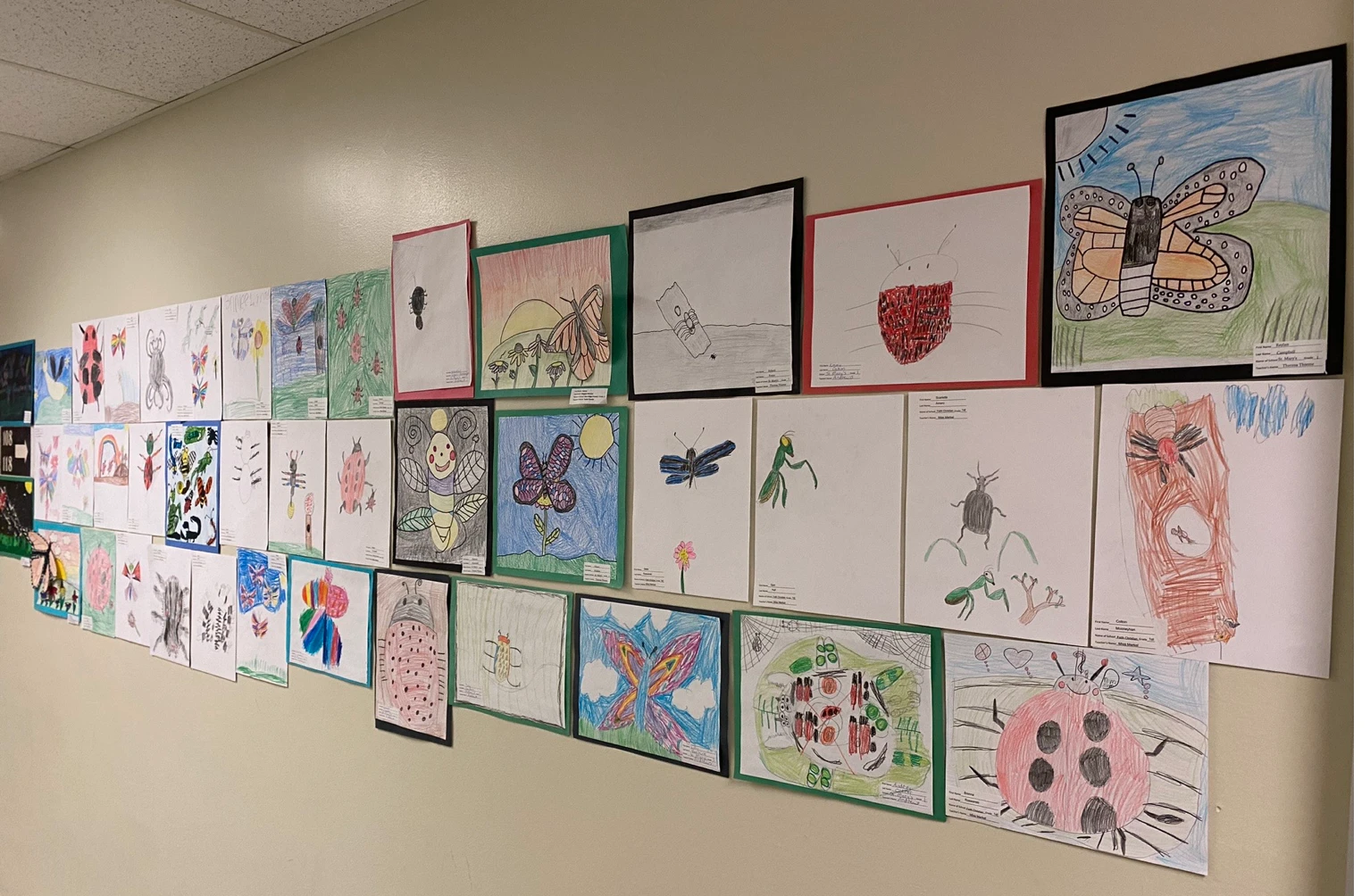 Bug art on display at 2023 Bug Bowl.