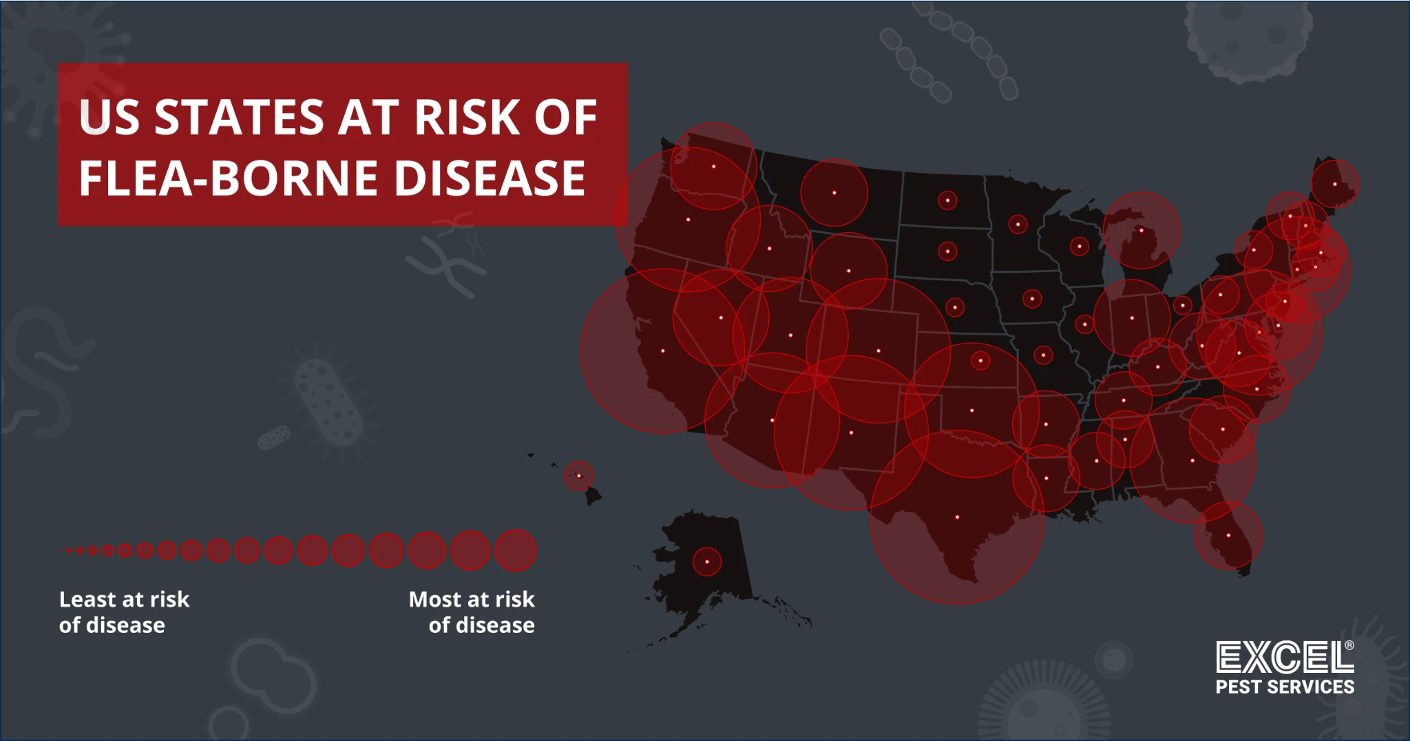 Courtesy of Excel Pest Services