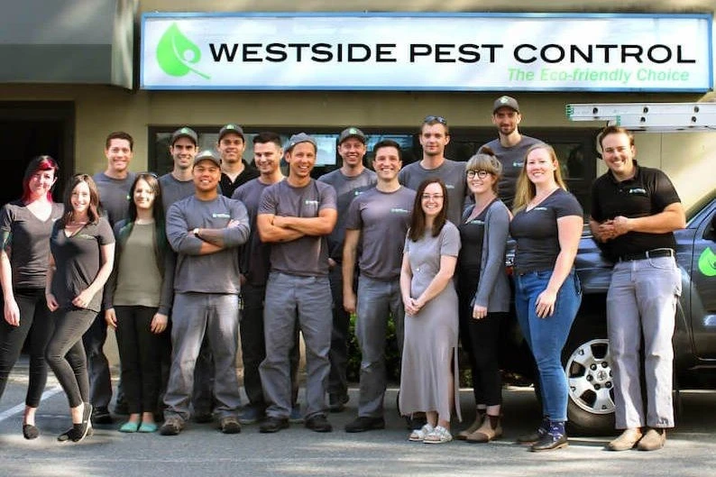 Courtesy of Westside Pest Control