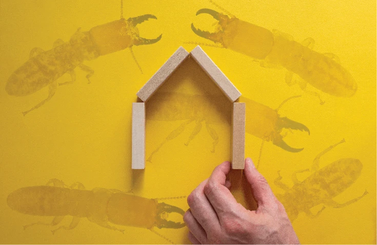 Built-by-Owner Home? Look for Surprises