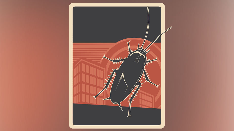 Providing Better Cockroach Control in Multifamily Housing Pest