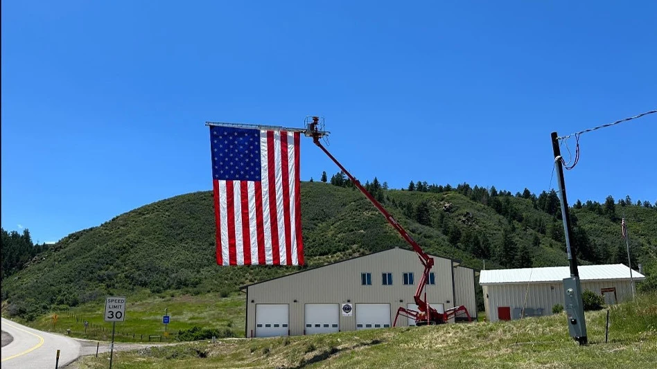 Courtesy of Whitmore Pest and Wildlife Control