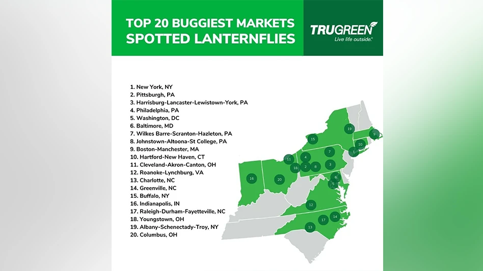 spotted lanternflies