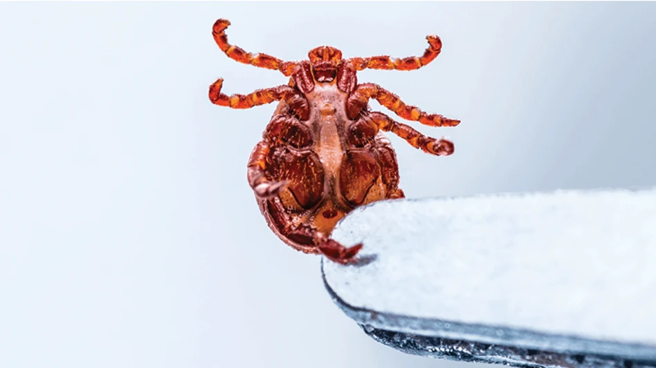 ©nechaevkon | AdobeStock