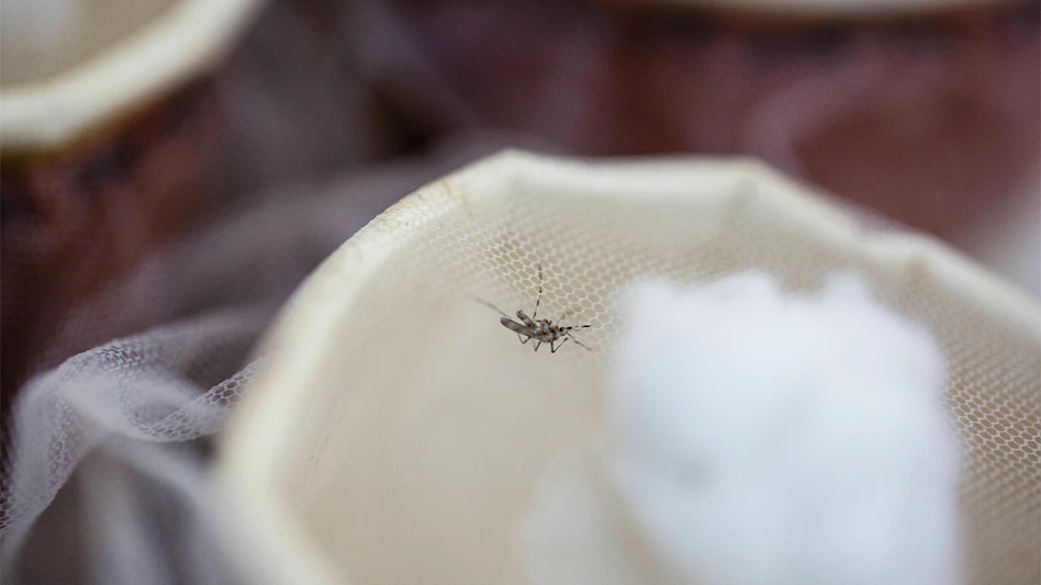 Malin Fezehai for The New York Times