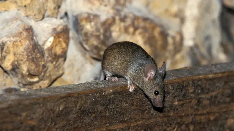 iStock | Valeriy Volkonskiy