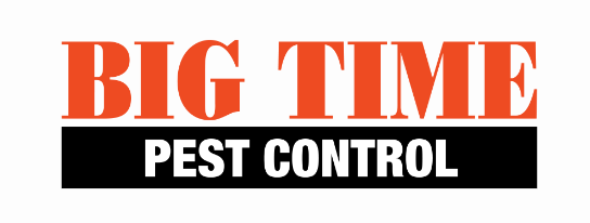 Surefire Ways to Heat Up Your Summer Marketing Plans Pest Control