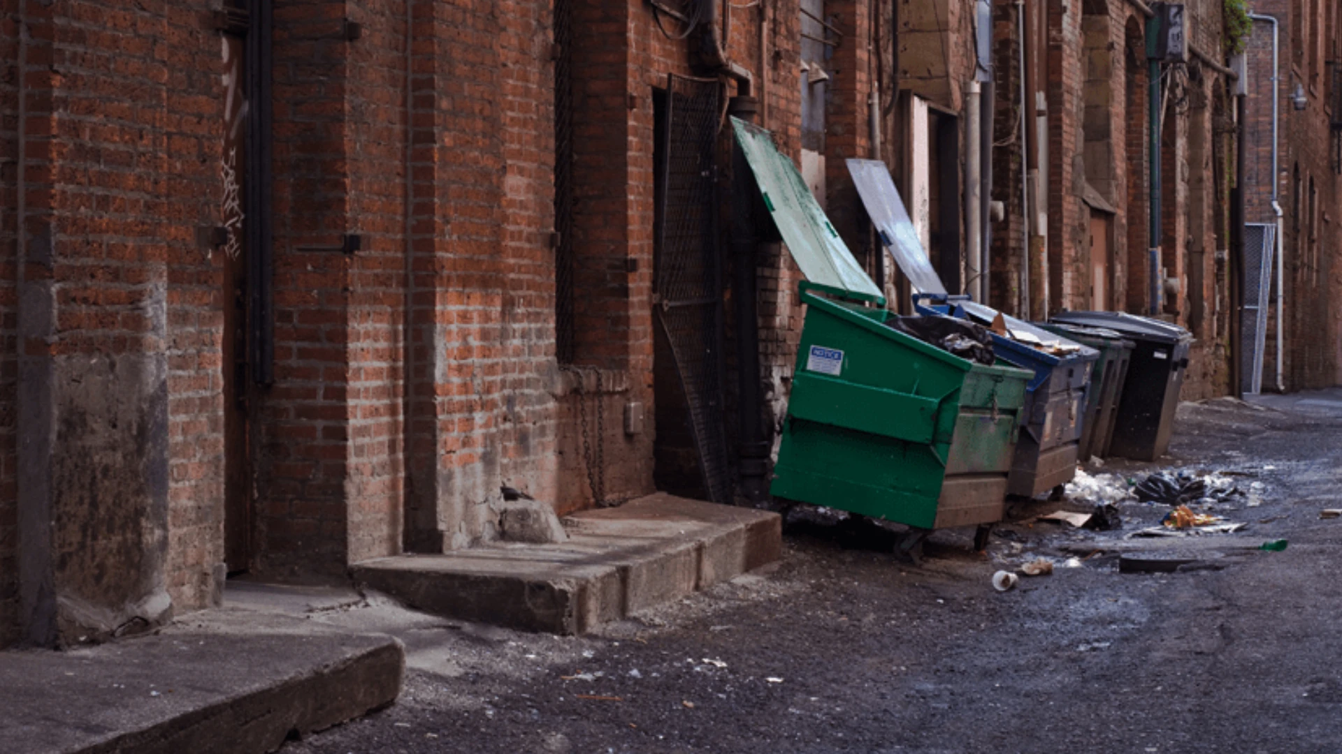 Proper Trash Management