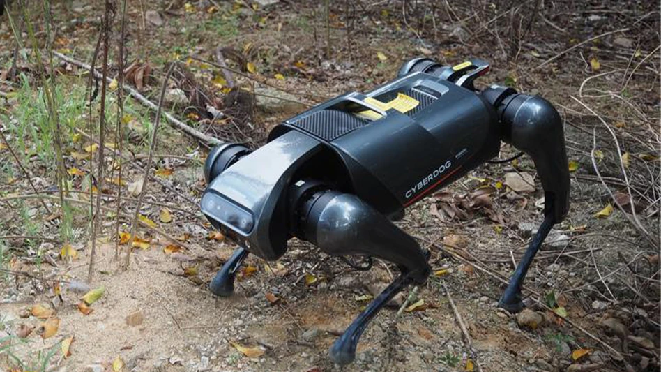 robot ia detects red fire ants