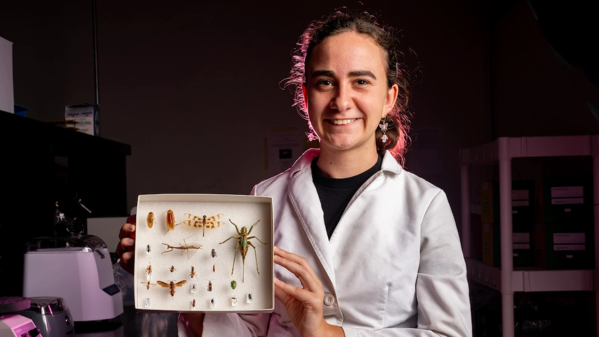 Texas A&M Goldwater Scholar Lisa Rollinson Excels in Entomology Research