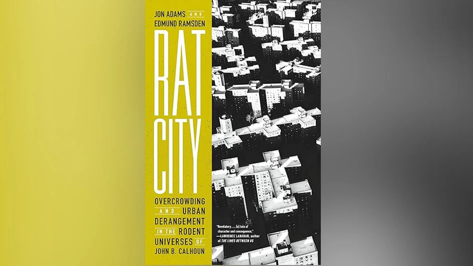rat city book