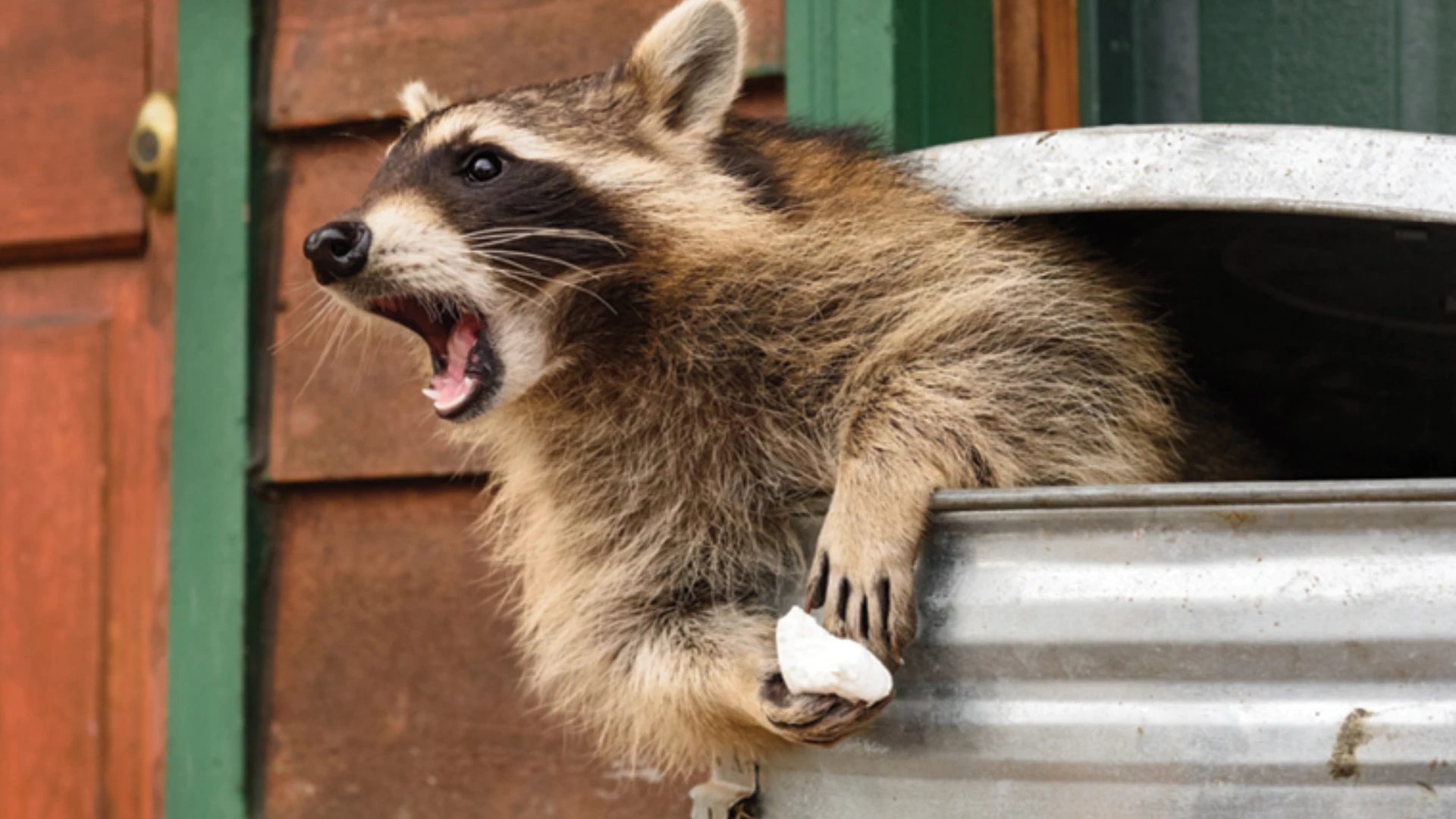 An Inside Look at a Wildlife Service Vehicle