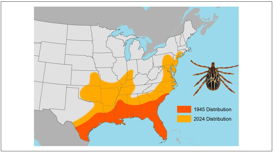 First Human Case of Tick-borne R. Parkeri Rickettsiosis Confirmed in Connecticut