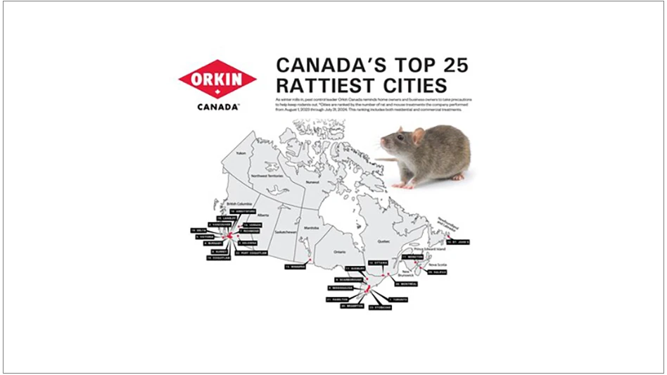 Orkin Canada Releases 2024 ‘Rattiest Cities’ List