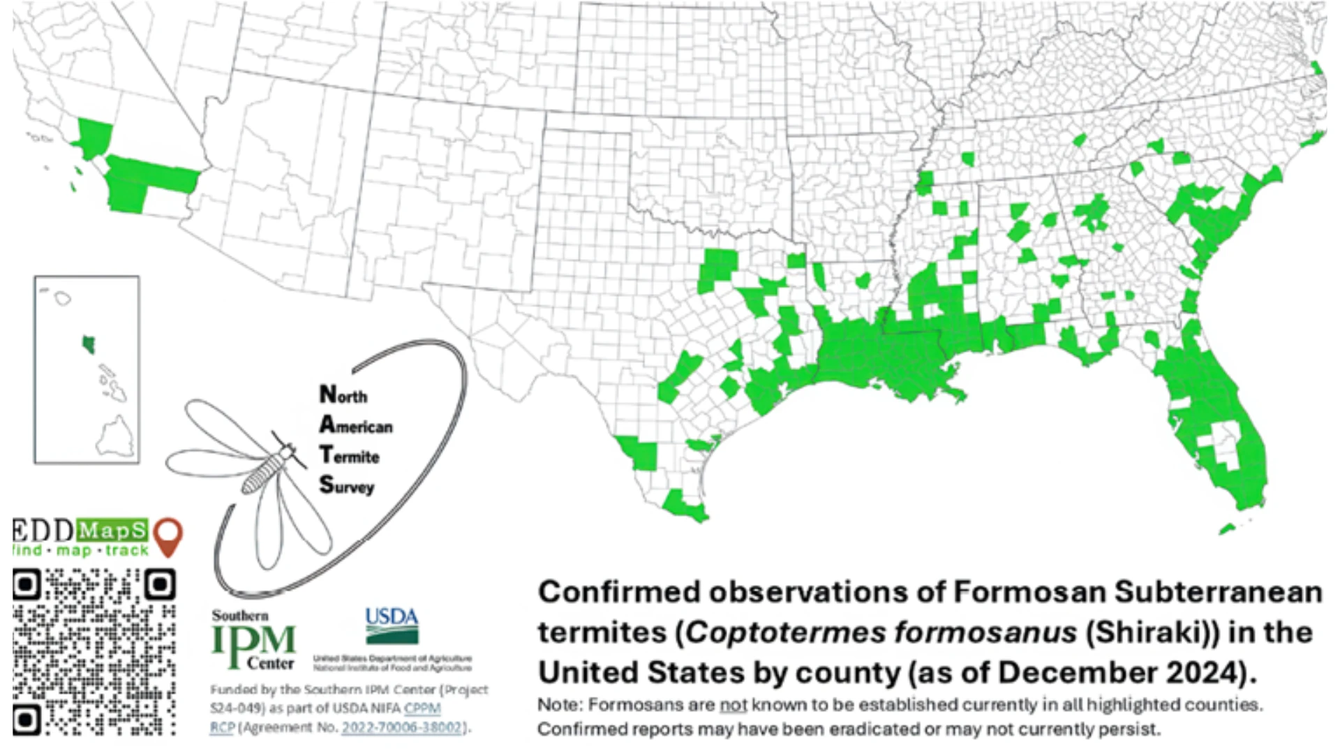 Mapping Termite Movement