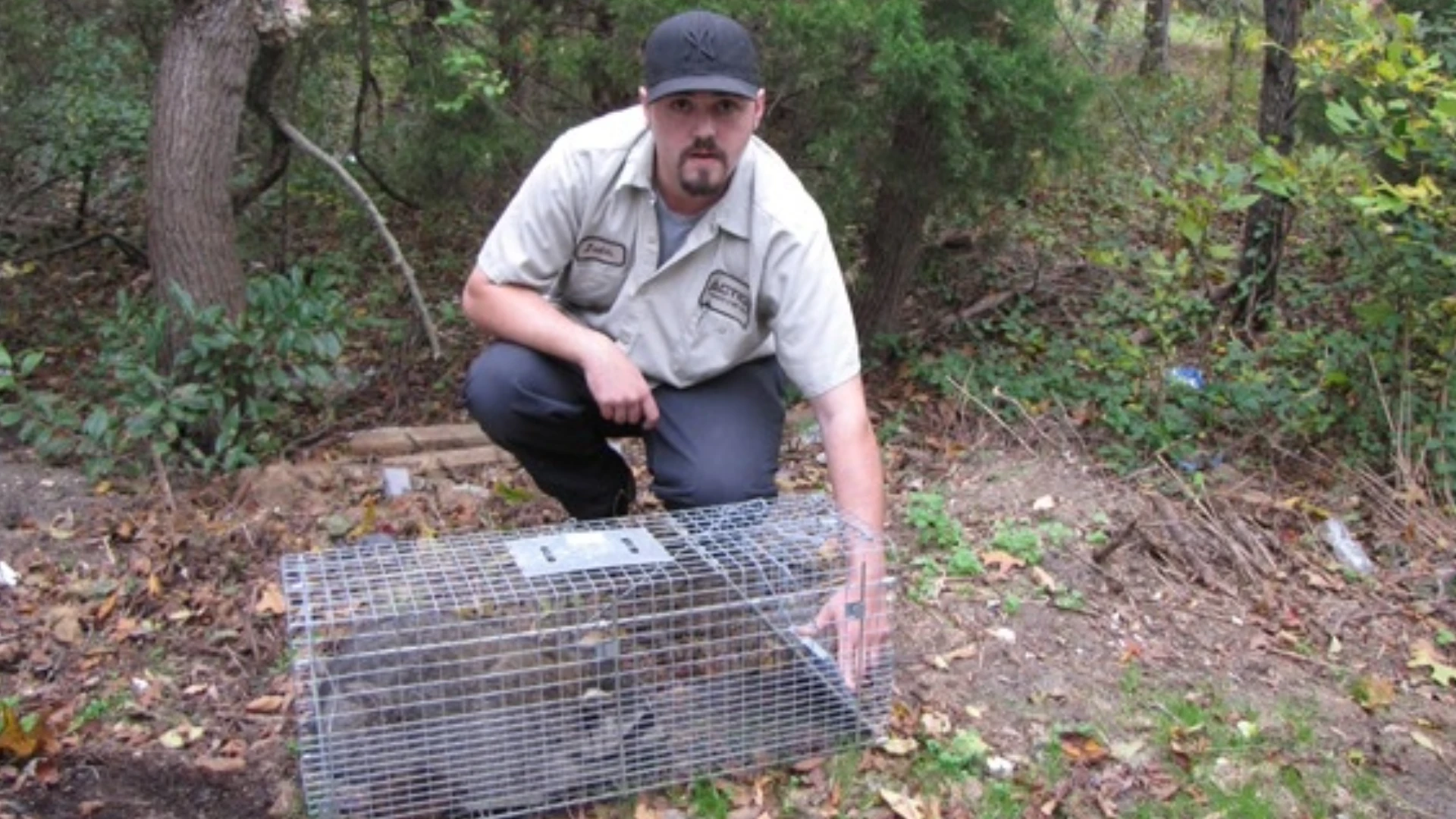 Action Termite and Pest Control Expands to Include Animal Control Services