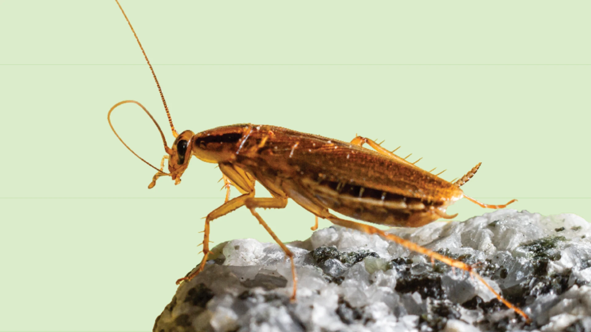 While Others Are Sleeping...They Are Discovering