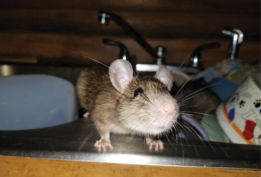 What You Cannot See, Could Kill You!