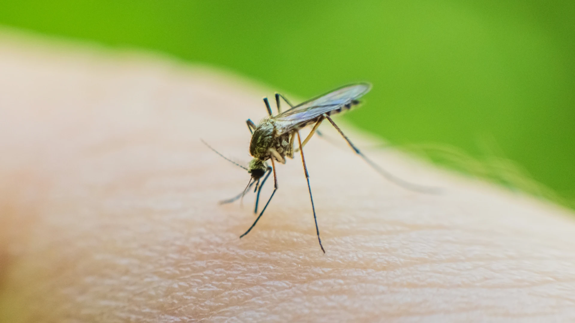 New Jersey Dept. of Health and Environmental Protection Investigate Malaria Case