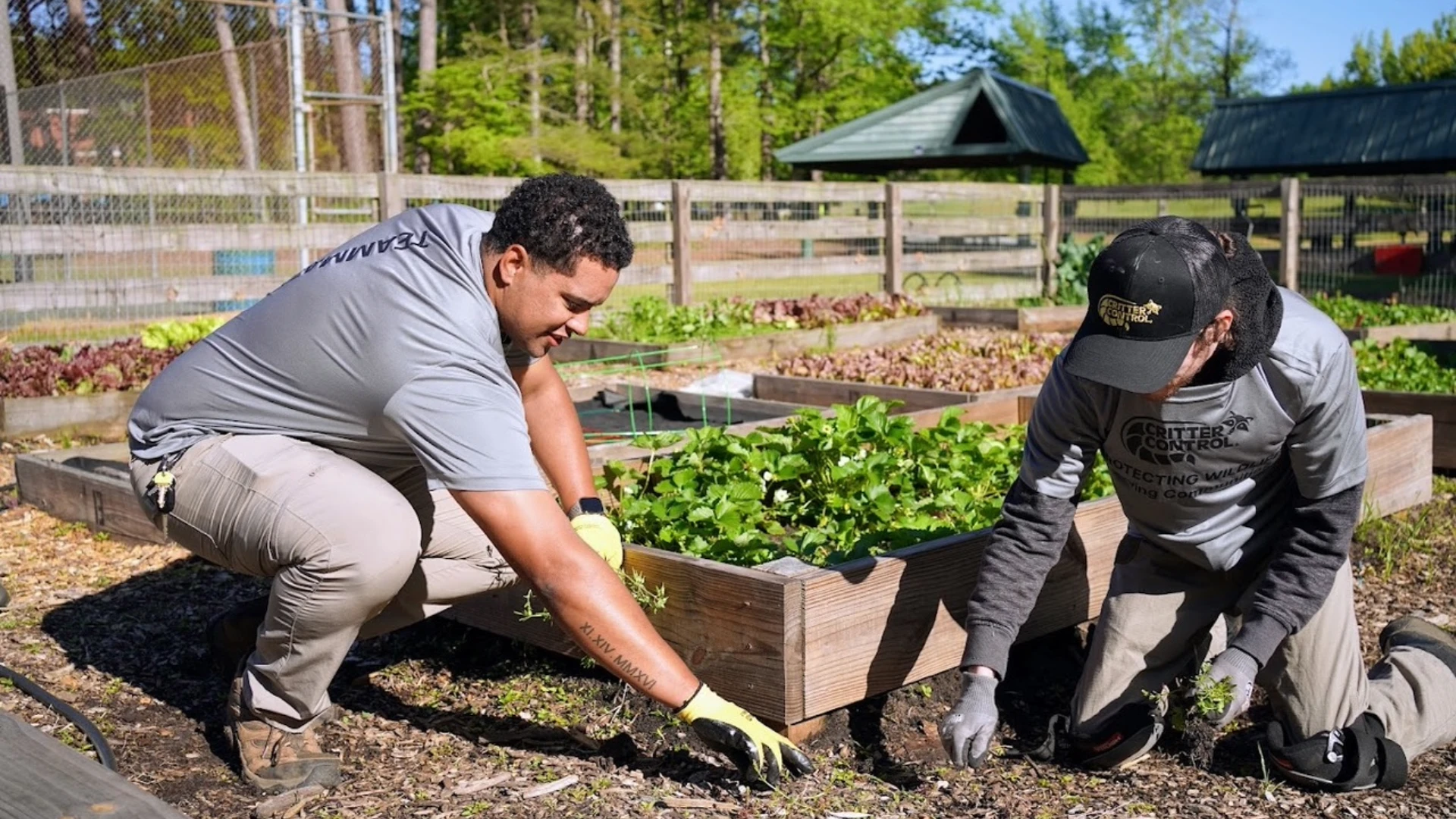 Critter Control Partners with Keep America Beautiful on Local Cleanup Projects