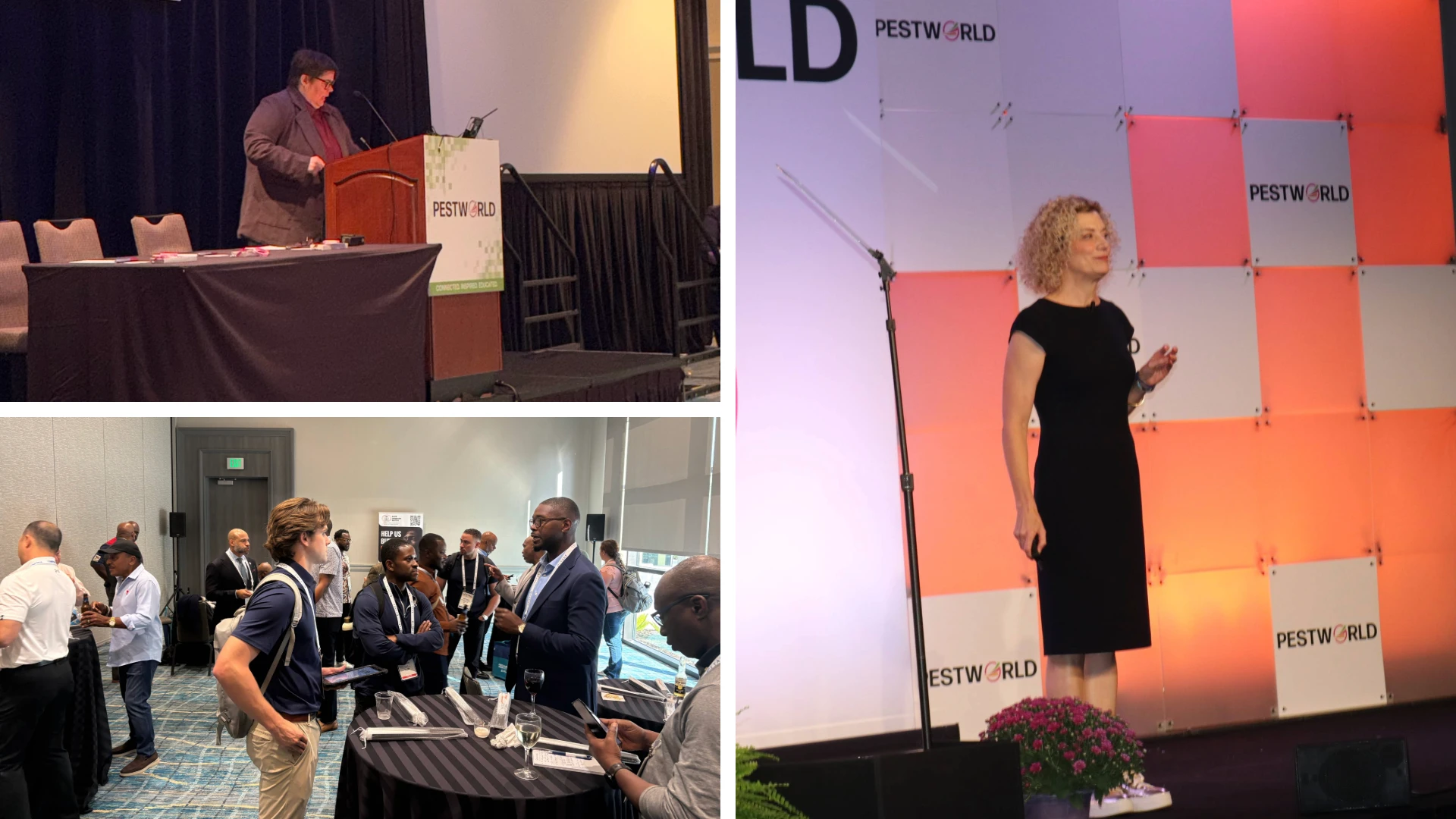 Futurist Abate Provides PMPs With Advance for Navigating Change